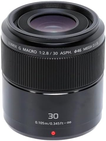 Panasonic LUMIX H-HS30 - Objetivo Macro para cámaras de montura M...