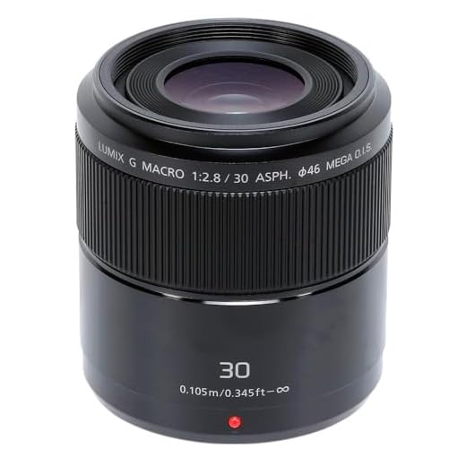Panasonic H-HS030E LUMIX G makro 30 mm F2.8 ASPH. Objektiv (O.I.S. bildstabilisator, bildvinkel 40°, filterstorlek 46 mm), svart
