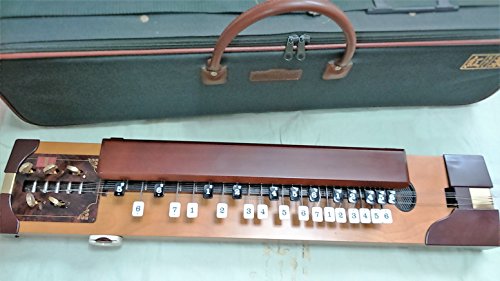 Amazon | SUZUKI 紅葉/もみじ 電気大正琴 | 大正琴 | 楽器・音響機器