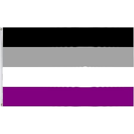 Amazon Com Asexuality Pride Flag 3 Ft X 5 Ft Outdoor Flags Patio Lawn Garden