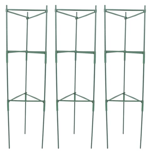 BEBEMOKO g}gx ȒP Hsv̉OpAx? g}g LE iXȂǂ̂鐫،NC~OgX ʋCƎ