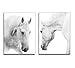 youkuart qy0088 canvas wall art white Horses Picture Painting on Canvas Print Modern Home Decorations Wall Art