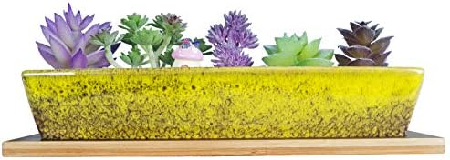 ARTKETTY 25cm Ceramic Succulent Plant Pots, Modern Long Rectangle Flower Plant Containers with Tray, Shallow Cactus Bonsai Window Box with Drainage for Indoor/Outdoor Home Decor(Green)