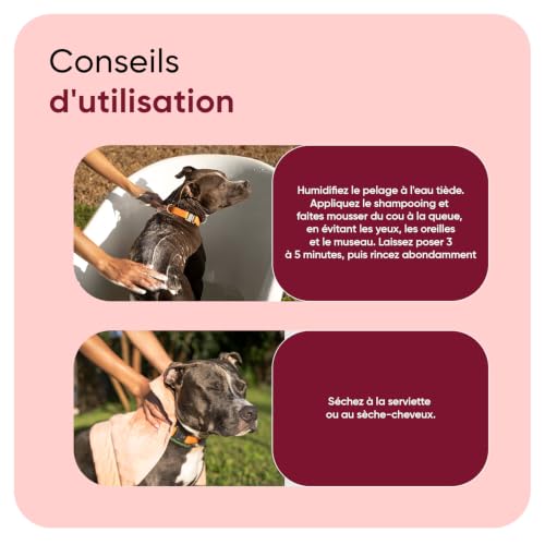 Shampooing Animigo Anti-Puces et Tiques pour chien – Shampooing lavant aux huiles d'arbre à thé, de coco & d'amande douce – Lavant, Désodorisant et Soin du Pelage Toutes Races, Parfum Lavande – 500 ml – vue 3