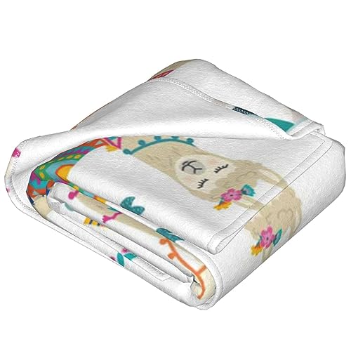 Couverture polaire micro-polaire canapé lit plaid chaud léger 152x127cm