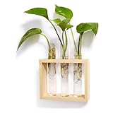 Mkono Wall Hanging Plant Propagation Glass Planter Station 3 Tubes with Wood Stand Flower Vase Desktop Terrarium for Propagating Hydroponic Cutting Plants, Home Office Decoration, Beige