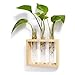Mkono Wall Hanging Test Tube Planter Modern Flower Bud Vase with Wood Stand Tabletop Glass Terrarium for Propagating Hydroponics Plants, Home Office Decoration