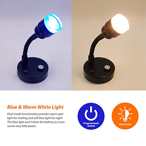 Dream Lighting Rv 12 Volt Reading Light Led Interior Bedside Lamp Wall Mount Blue & Warm White Light #TOP4