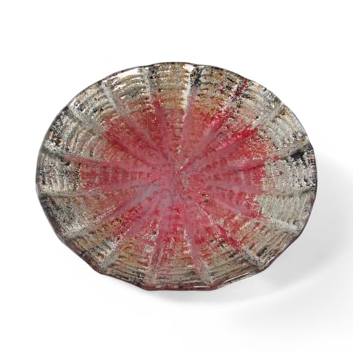 J-kitchens Nebula M fU[gv[g KX   sN S[h 15cm