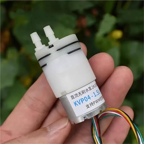 Pompe à eau sans balais pour éviter les pannes d'amorçage Mini 310