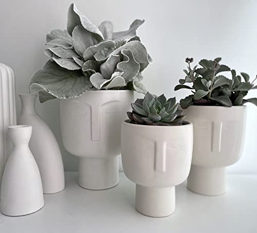Ceramic 8 Inch Tall Head Planter Pot. Self Watering Face Planter Pot W Removable Inner Pot. White Face Vase Planter Head Flower Pot. Use As Head Vase Or Matte White Ceramic Planter. Large 6 Inch Wide #TOP7