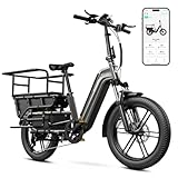 TST Electric Bike for Adults 1500W Peak 20' Fat Tire All-Terrain E-Bike 60/130 Miles 28 MPH Electric Dirt Bike - 48V 15/30 AH Battery Tested to UL 2849 Powered Electric Bicycle