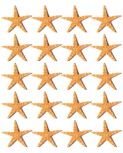TOZBLEU 20 pcs étoiles de mer,Etoile de mer décoration,pour fête sur le thème de la plage,bricolage, décoration de mariage, décoration de la maison et...
