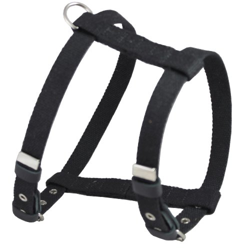 Harnais chien poitrine 55-66 cm compatible sangle de coffre auto