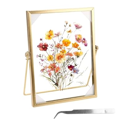 Marco de Fotos, Marco Fotos 15x20 cm, Marco Dorado, Marco Para Flores Secas, Marcos de Vidrio para Foto, Marcos Metálico Dorado, Fotos Metal Vertical, para Exponer Fotografías, Especímenes Botánicos | Ya disponible en tu tienda friki favorita! En mundofriki.es!