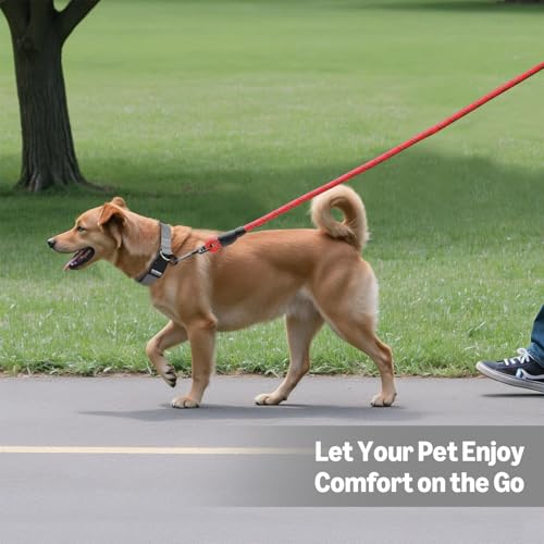 Amazon Basics Round Dog Leash, Heavy Duty, Durable Rope for Small, Medium, and Large Dogs, Lightweight Design for Walking, Training, and Outdoor Activities, Red, 6 Ft - Image 5