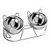Elevated Cat Bowls Food and Water Bowl Set for Travel Small Dogs Indoor Cats