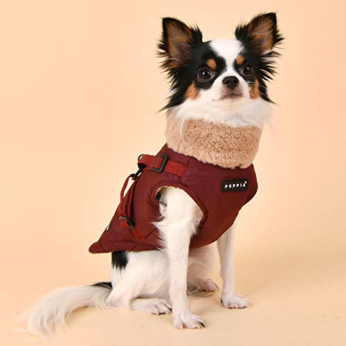 Puppia Donavan Winterweste - Wein - M