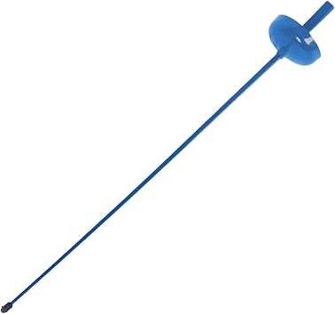 Fencing Sword, Child Practice Sword with Sound, Lightweight Training Equipment, Fencing Boys Costume Props, Blue, Style B