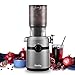 Fretta Estrattore frutta e verdura, apertura 108MM e capacità di 1L estrattore di succo, 200W centrifuga Lenta, 99% nutrienti preservati, senza BPA, facile da smontare e pulire