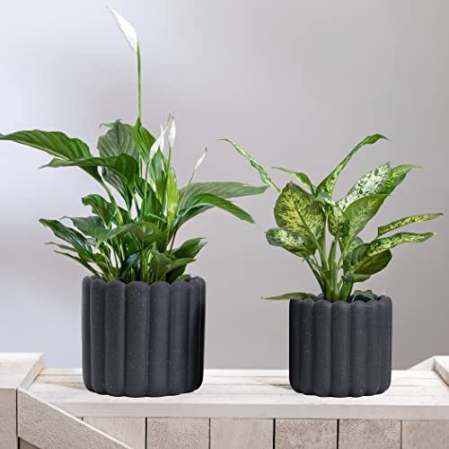 Vertical Striped Plant Pots - Charcoal Speckled Black Planters - 6.5" And 5.3" Diameter Flower Pots For Indoors And Outdoors #TOP2
