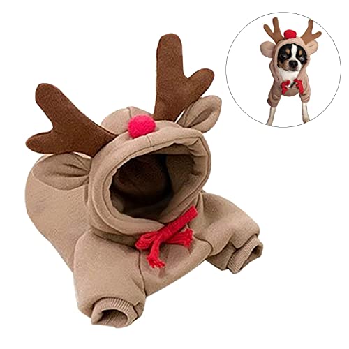 Ropa para perro con diseño de fruta en capucha XS miniatura 4