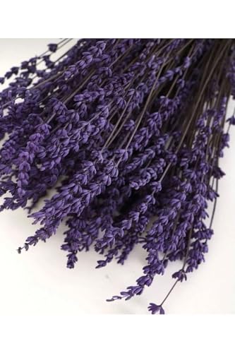 Ramo de Lavanda Preservada Morado para Decoración miniatura 3