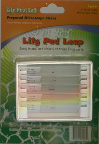 American Science & Surplus My First Lab 5PC Lily Pad Leap Frog Parts Prepared Microscope Slides