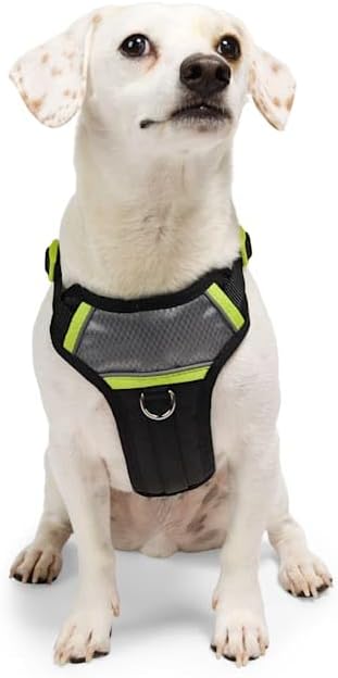 YOULY by Petco Adventure Reflective Dog Harness Black Large