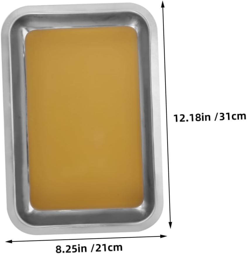 Homoyoyo 2pcs Dissection Tray: 31x21cm Stainless Steel Wax-Lined Pan for Biology Labs - Non-Slip Surface for Anatomy Studies + Classroom-Safe Design