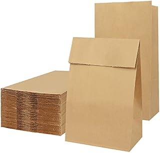 50 Pieces Paper Bags, Brown Paper Bags, Gift Bags Large, Kraft Paper Bags, Paper Party Bags, Paper Bags for Gift, Grocery, Birthday, Party Supplier(7.9 x 4.9 x 12.6 inch)