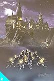 mappa del malandrino harry potter  Harry Potter 2. La mappa del Malandrino. Poster