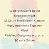 HM NABAVIAN Appletons Wool Needlepoint Kit – Portraits Range - David Bowie Designed by Emily Peacock #1