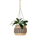 ナチュラルシーグラス吊り下げプランター 吊るす観葉植物 吊るす インテリア 雑貨 吊り下げ 観葉植物 吊るす 室内 ハンギング バスケット 吊るす収納 植木鉢 プラントハンガー カゴ ロープ ハンギングプランター シーグラス バスケット プランターカバー 鉢カバー ハンギング SGA-224