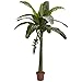 Nearly Natural 6ft. Banana Silk Tree (Real Touch)