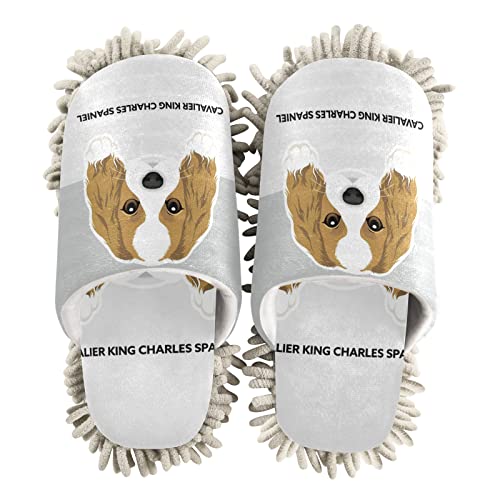 Poeticcity Mop Slippers Shoes, Unisex Cleaning House Slippers Spa Dusting Slippers M-L