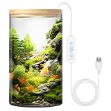 5.9" x 9.8" Desktop Plant Terrarium with Grow Light for Succulent, Moss, Miniature Gardening Landscape, Houseplant Growth, Hydroponics, Office Home Décor, Plant Lover Gifts