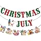 Weihnachtsbanner im Juli, Glitzer-Wimpelkette, 2 Stück, grün und rot, Weihnachtsmann, Schneemann, Party-Wimpel, Banner für Weihnachten im Juli, Sommer, Strand, tropische Pool-Party-Dekoration (grün