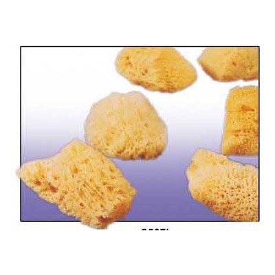 Rucci Natural Sea Silk Cosmetic Sponge 3.5" (Pack of 3)