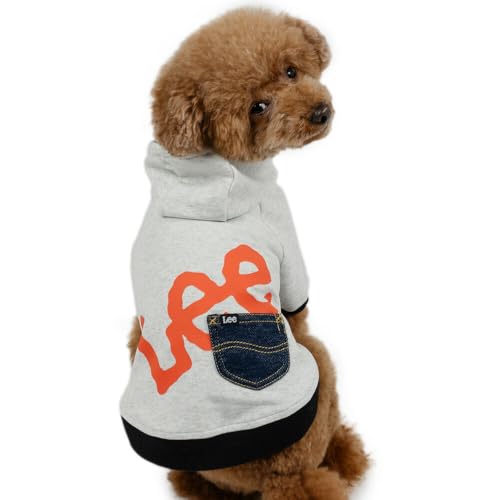 ybgp_CX   t k rbO S p[J[ gbvX O[ [hʂ yQl SS gCv[h ps (`5kg) ybgp_CXcX72XܓWJ2025/10/1_z