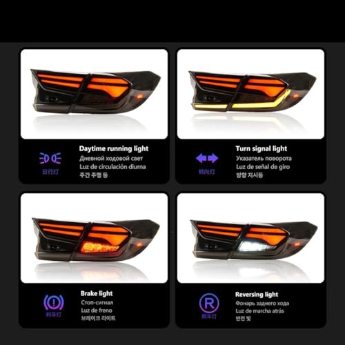 Luces traseras LED secuenciales con función stop y antiniebla 5
