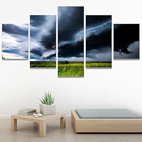 SIGNWIN 5 Panel Canvas Wall Art Modern Art...
