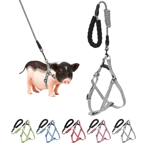 YeeBeny - YeeBeny Harnais réglable pour petit cochon avec laisse de style Infinity et poignée en mousse souple pour petits et moyens animaux de compagnie pour la marche, l'entraînement, le jogging (vert, taille