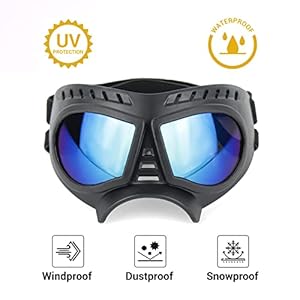 Enjoying Dog Goggles Small Breed Antiuv Puppy Sunglasses for Smallmedium Dogs Antifog Windproof Snowproof Doggy Glasses Eyes Protection Soft Frame Sliver  Cucciolini Doodles Enjoying dog goggles small breed anti uv puppy sunglasses for small medium dogs anti fog windproof snowproof doggy glasses eyes protection soft frame sliver   cucciolini doodles