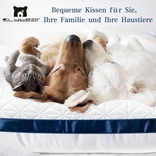 Slybear Kissen Kopfkissen 40x80cm 2er Set, 2X Seitenschläferkissen Nackenkissen orthopädisches Kissen mit Premium Mikrofaser Füllung, atmungsaktives Sitzkissen Sofakissen Schlafkissen weich& stützend