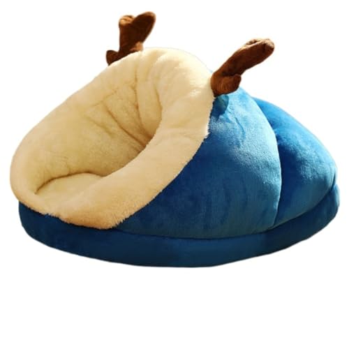 Fiozwea LnEXAxbhA~AybgpiAA킢` (M,u[)