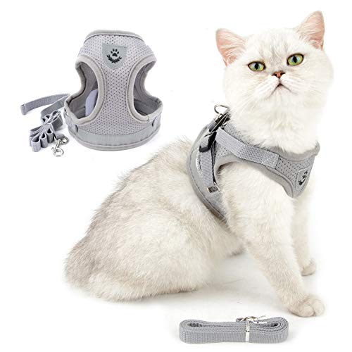 Ranphy Cat Harness and Leash Set Escape Proof Refletive Adjustable Small Dog Step in Harness No Pull No Choke Soft Mesh Padded Walking Jacket Boy Girl Puppy Kitty Kitten Training Vest Harness Gray L