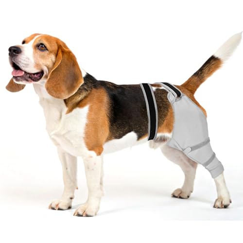 Image of Dog Sleeve for Rear Legs to Stop Licking, Upgraded Recovery Sleeve for Hind Back Leg Wounds,TPLO, ACL Surgery, Light Comfortable Cone Alternative,Right,S,Black-Gray