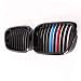 Rejillas Frontales Parachoques Delantero Rejilla de riñón Parrillas solares/Ajuste for Series 5 E39 M5 1997-2003, Parte de reemplazo de Accesorios for automóviles (Color : Car Grille Glossy M)
