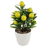 Ambiance saine : choisir un arbre fruitier artificiel en pot évite la terre et la poussière, créant ainsi un environnement propre et accueillant avec un minimum d’entretien, comme votre faux citronnier décoratif, votre mini citronnier artificiel en pot ou votre arbre fruitier artificiel en pot